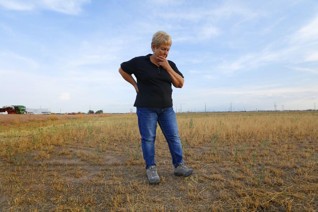Tesla Cybertruck Detroit Three, UAW in talks with White House to set EV sales goals photos-1staff-811734-na-drought-small-farms-04-cmc