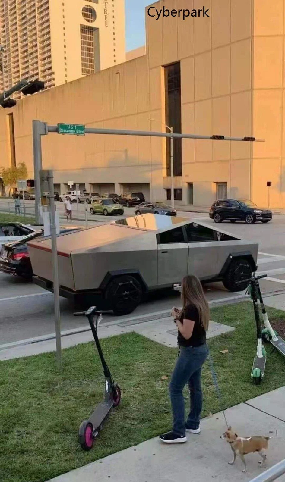 Tesla Cybertruck Real Life Cybertruck Photos Compilation (No renders please) CT-3