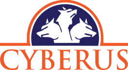 Tesla Cybertruck Custom license plate / vanity plate name for your Cybertruck? 1630612347397