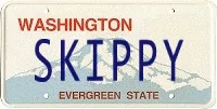 Tesla Cybertruck Custom license plate / vanity plate name for your Cybertruck? license_20210902173109_5975