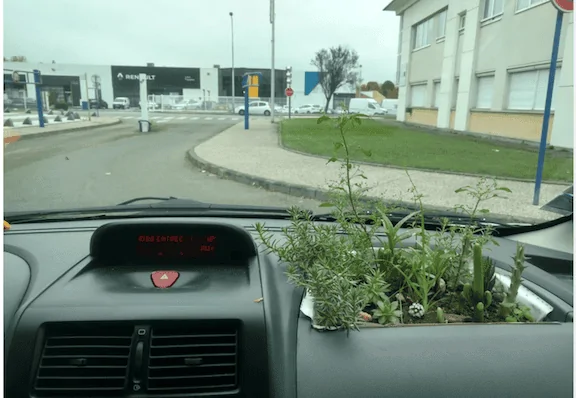 Tesla Cybertruck Getting your "Green On" in your Cybertruck and Tesla EV's Screen Shot 2021-09-06 at 5.19.33 PM