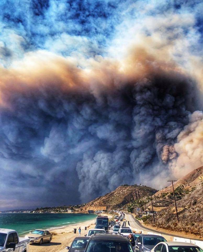Tesla Cybertruck Cybertruck burned down in LA wildfires IMG_3572