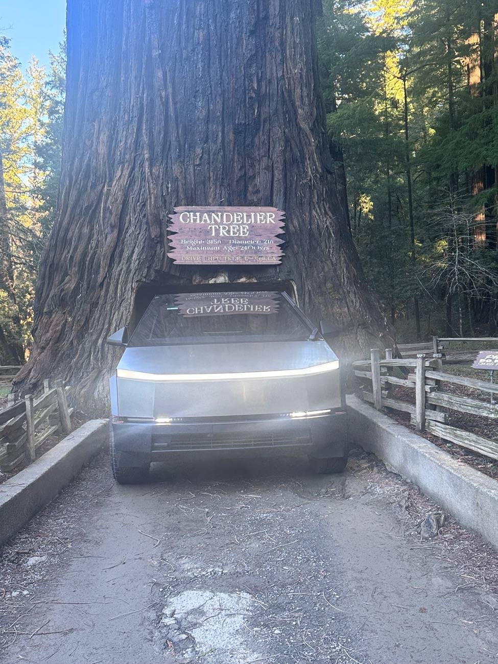 Tesla Cybertruck 📸Post Your January Cybertruck Photos Here! (RWCev Cybertruck of the Month Giveaway Contest) 📐 IMG_2057