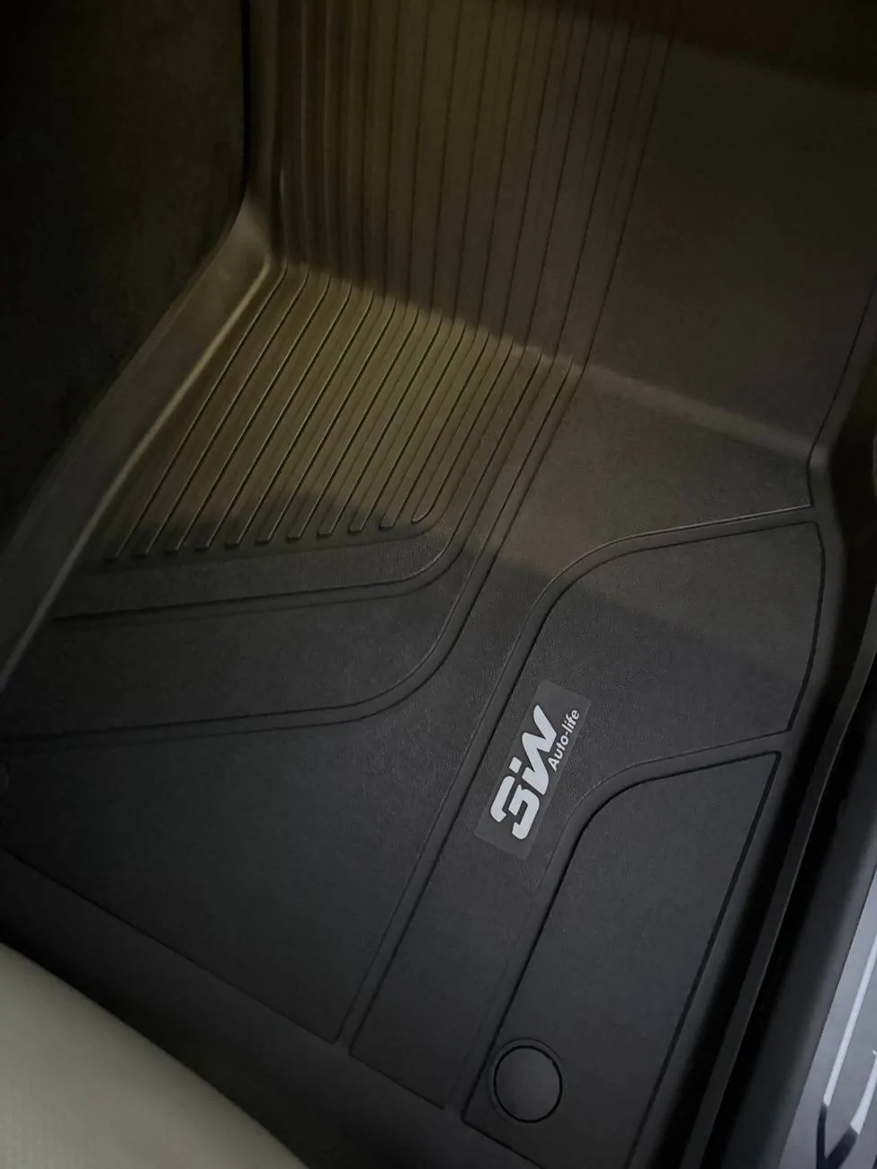 Tesla Cybertruck Review on 3Wi mats for MXP - did a CT one previously IMG_9644 2