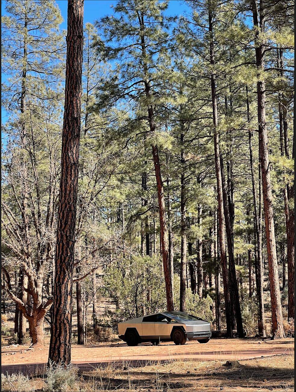 Tesla Cybertruck Daily random Cybertruck photos thread - Post Yours! 📸 🤳 Screenshot 2025-01-20 at 15.59.43