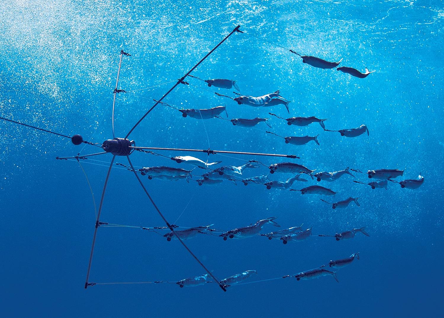 Tesla Cybertruck Cyber Fishing rod rack IMG_0785