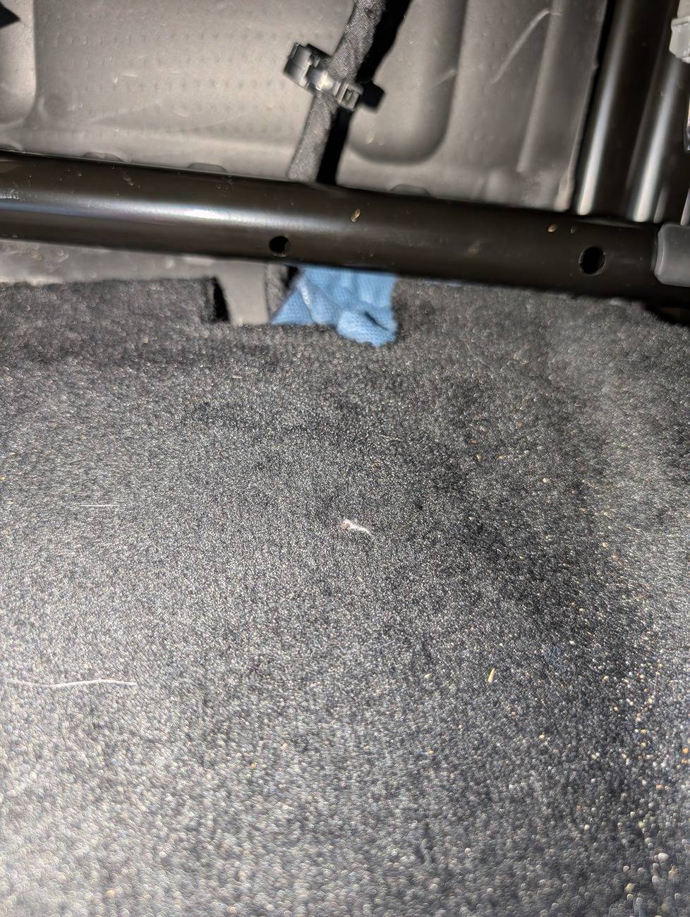 Tesla Cybertruck Bad Floorboard rattle with music up PXL_20250208_210631045