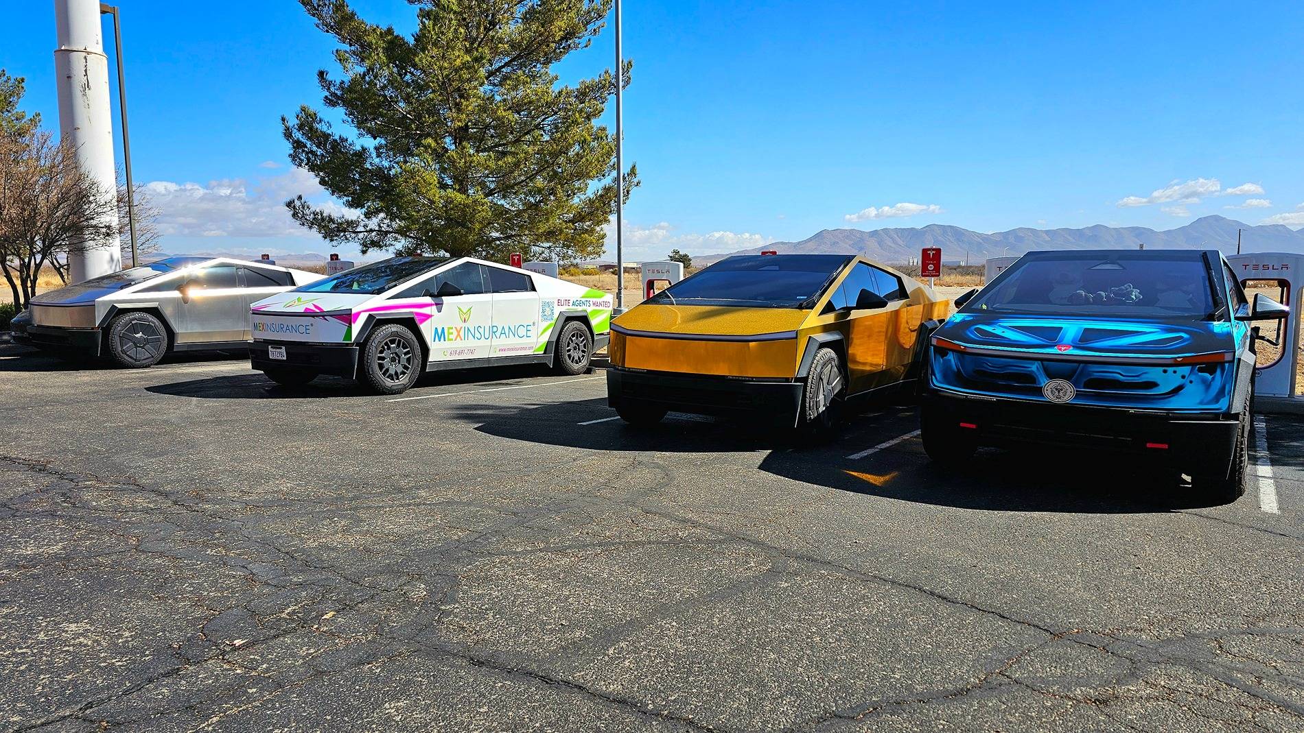 Tesla Cybertruck Daily random Cybertruck photos thread - Post Yours! 📸 🤳 20250215_103928(0)