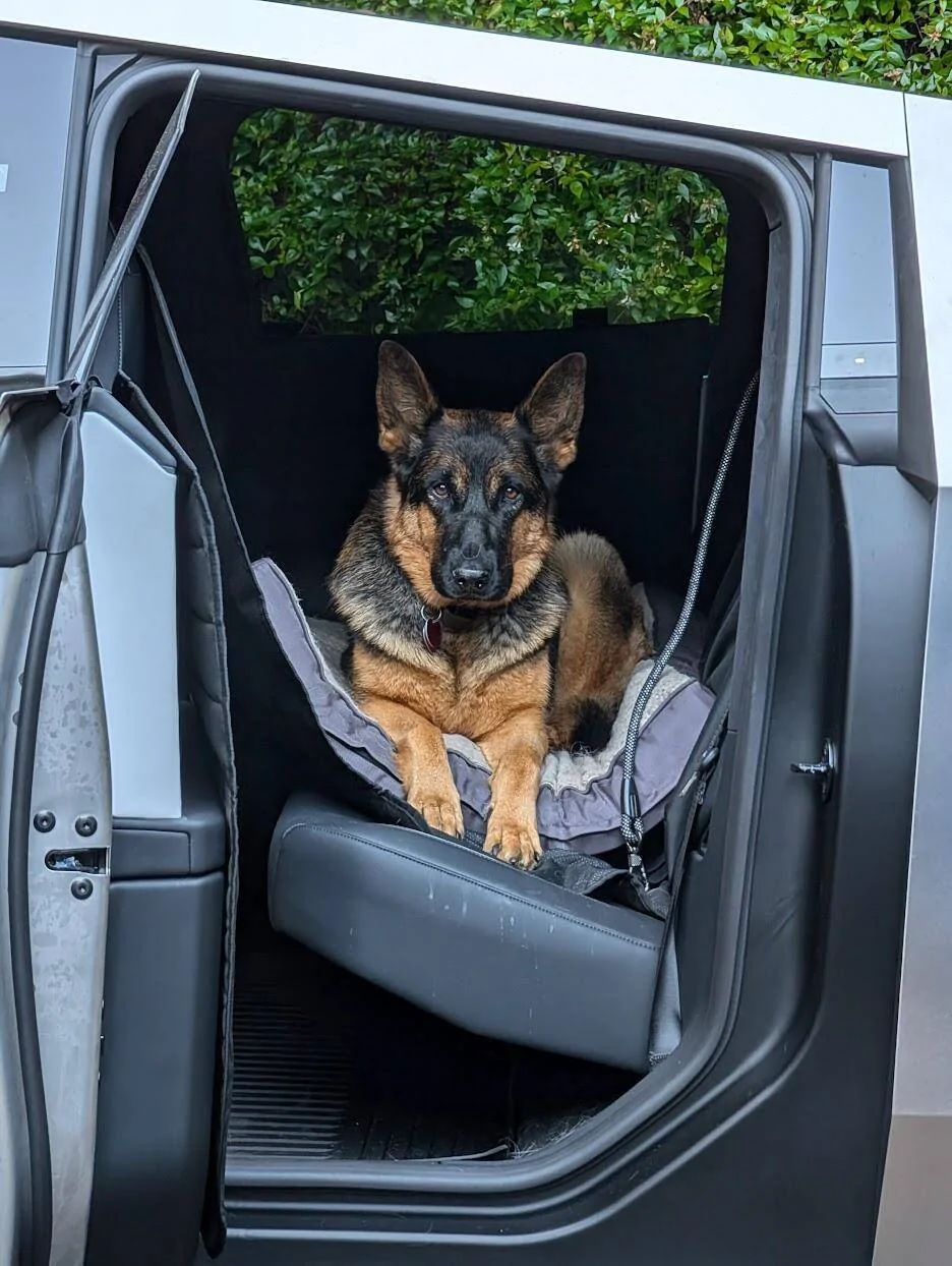 Tesla Cybertruck Pending new CT owner.  Back seat dimension question 1739668360601-1j