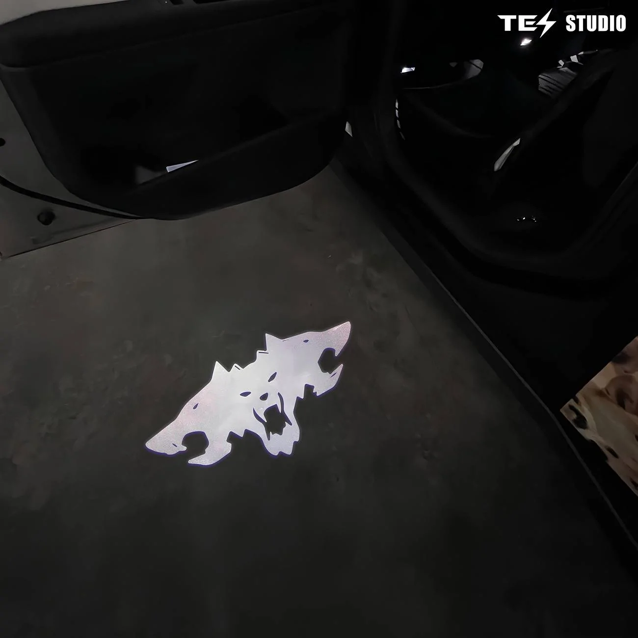 Tesla_Cybertruck_Projection_Lights_Cybertruck_Welcome_Puddle_Lights_Tesstudio_2.jpg
