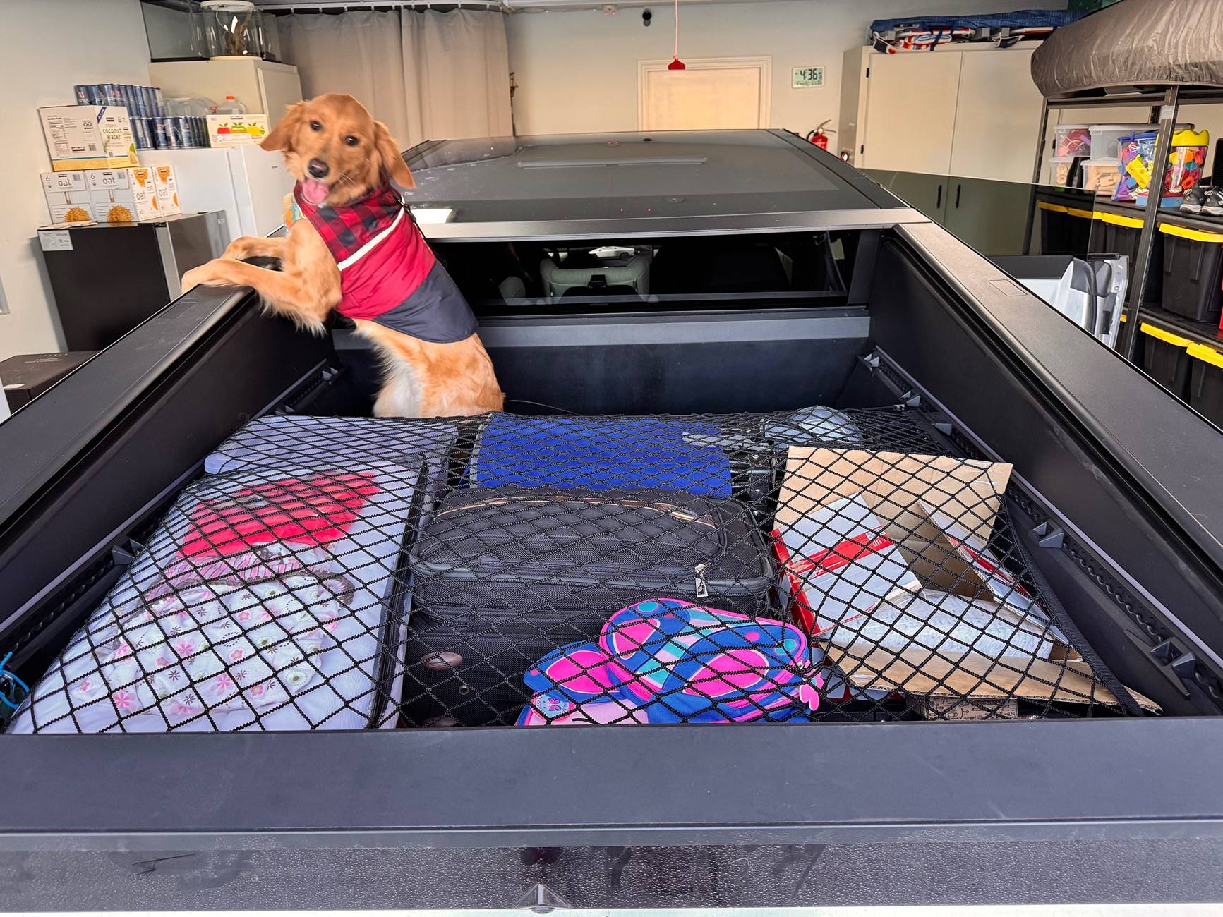 Tesla Cybertruck Dog in the bed of the Cybertruck on a long trip w/ tonneau cover partly closed? IMG_2243