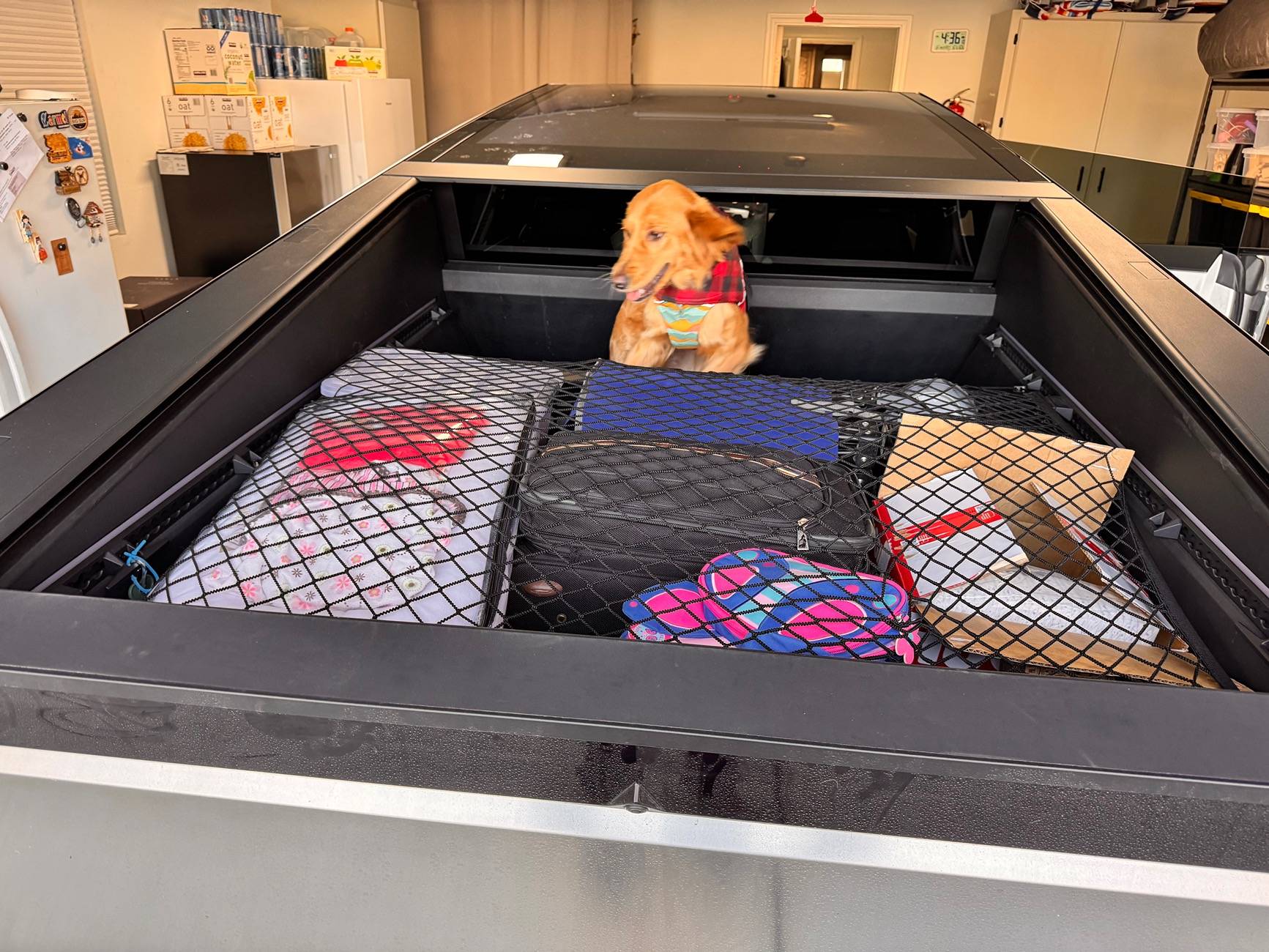 Tesla Cybertruck Dog in the bed of the Cybertruck on a long trip w/ tonneau cover partly closed? IMG_2242