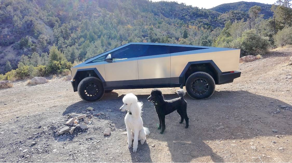 Tesla Cybertruck 🎉 Free Cybertruck 3Wliner Floor Mats Giveaway – Share Your Story, Win & Share Again! 🎉 IMG_3573