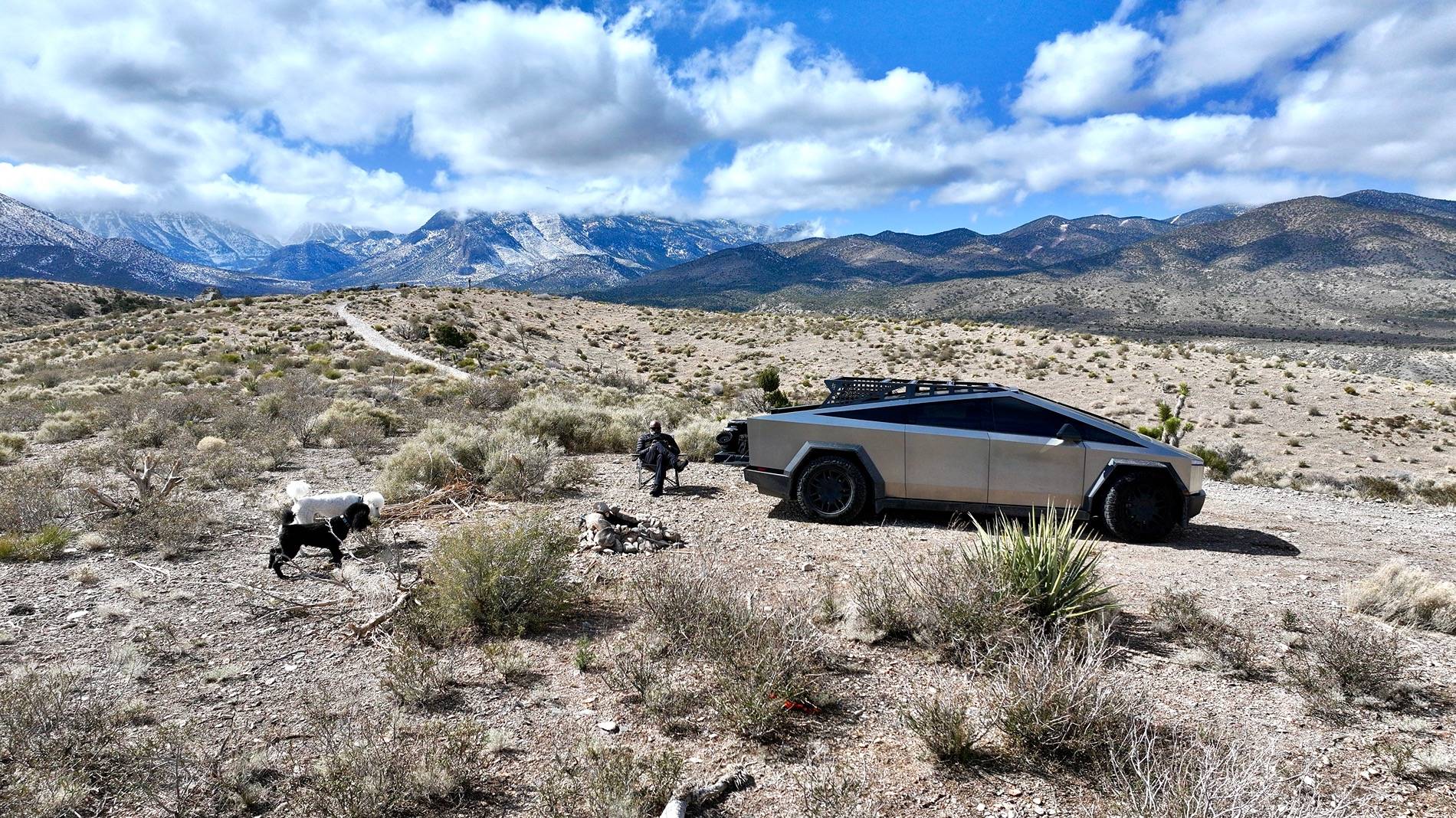 Tesla Cybertruck Daily random Cybertruck photos thread - Post Yours! 📸 🤳 IMG_4058