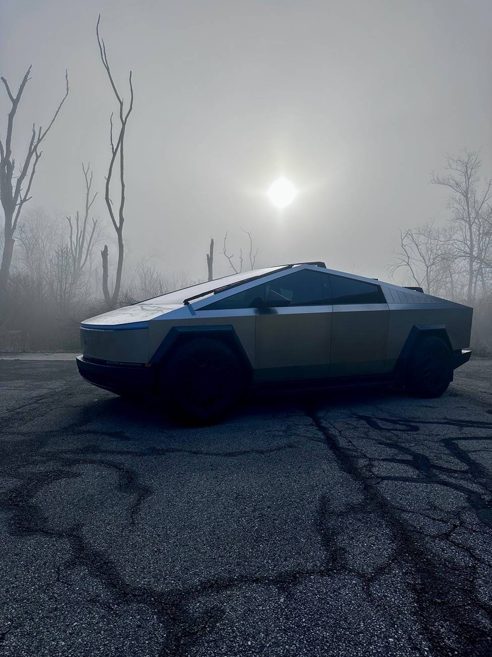 Tesla Cybertruck Daily random Cybertruck photos thread - Post Yours! 📸 🤳 IMG_4597