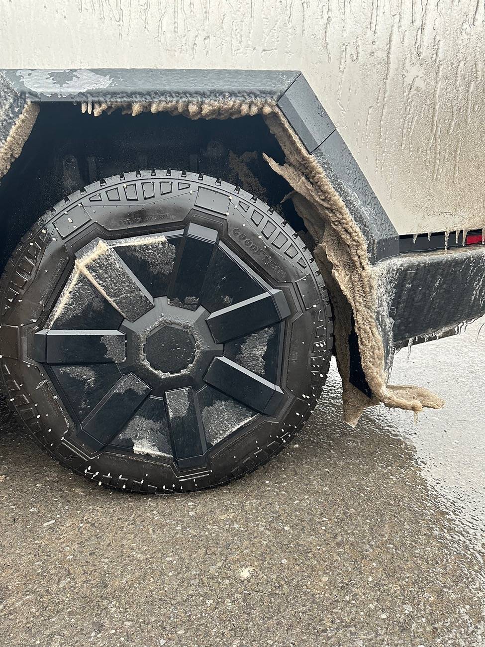 Tesla Cybertruck Daily random Cybertruck photos thread - Post Yours! 📸 🤳 IMG_1441