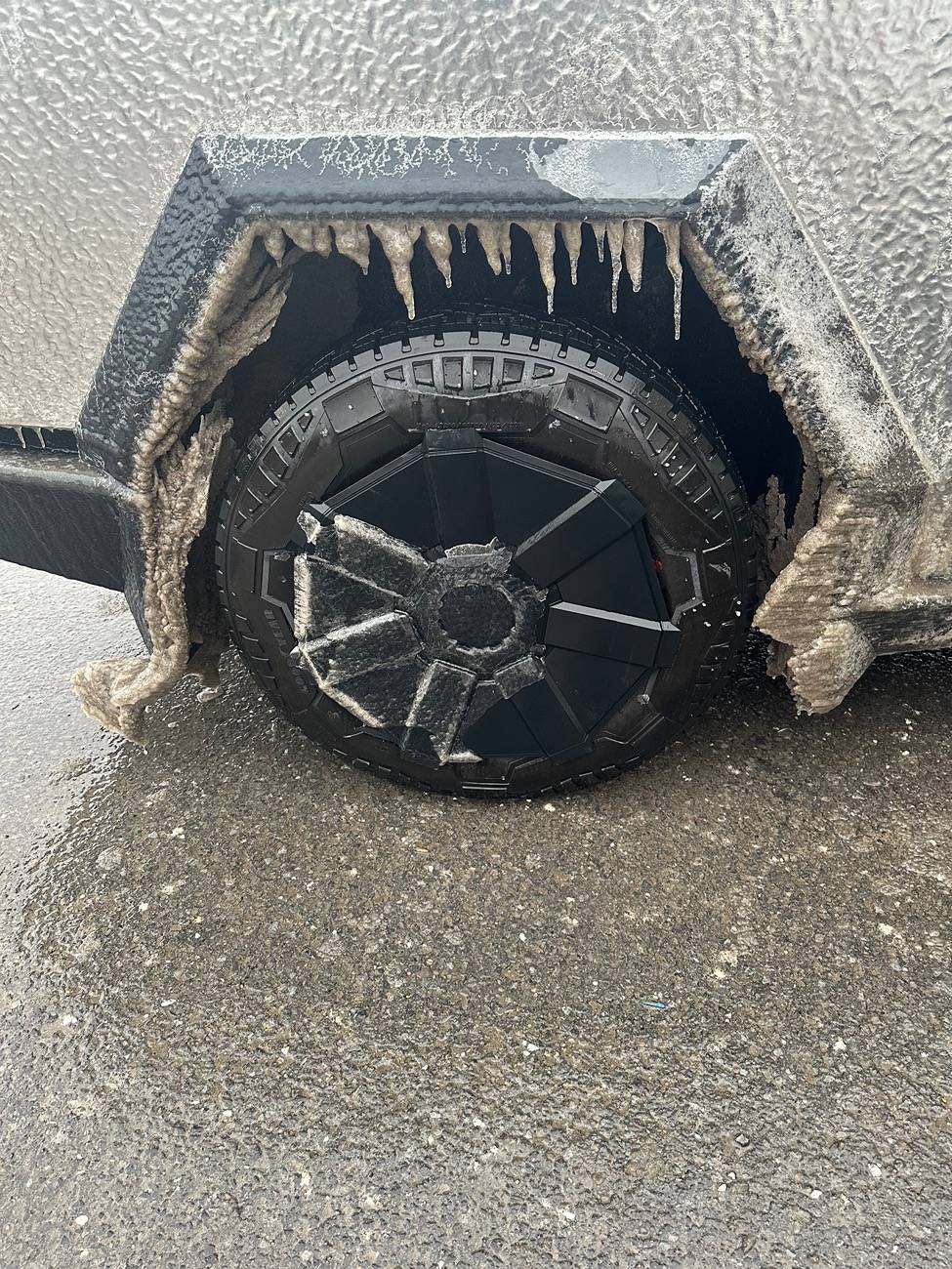 Tesla Cybertruck Daily random Cybertruck photos thread - Post Yours! 📸 🤳 IMG_1443