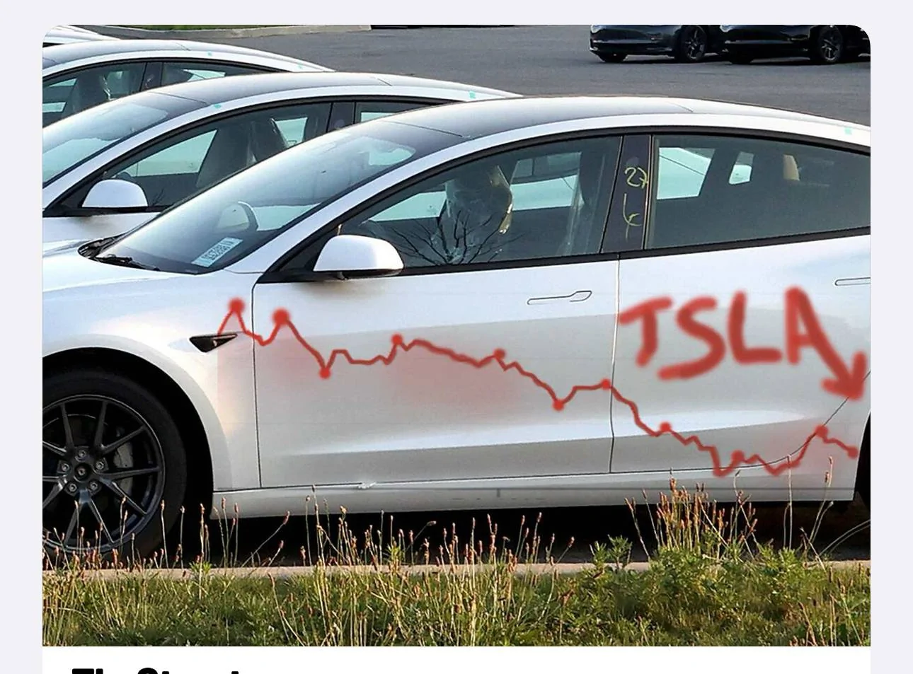 Tesla Cybertruck DOG MODE??? IMG_2939