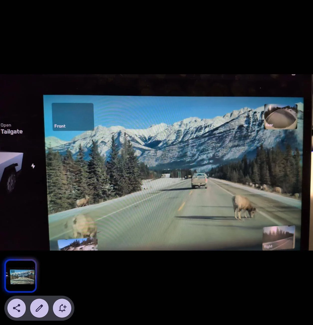Tesla Cybertruck FSD for The Win! Goose is Spared.... 1000005086