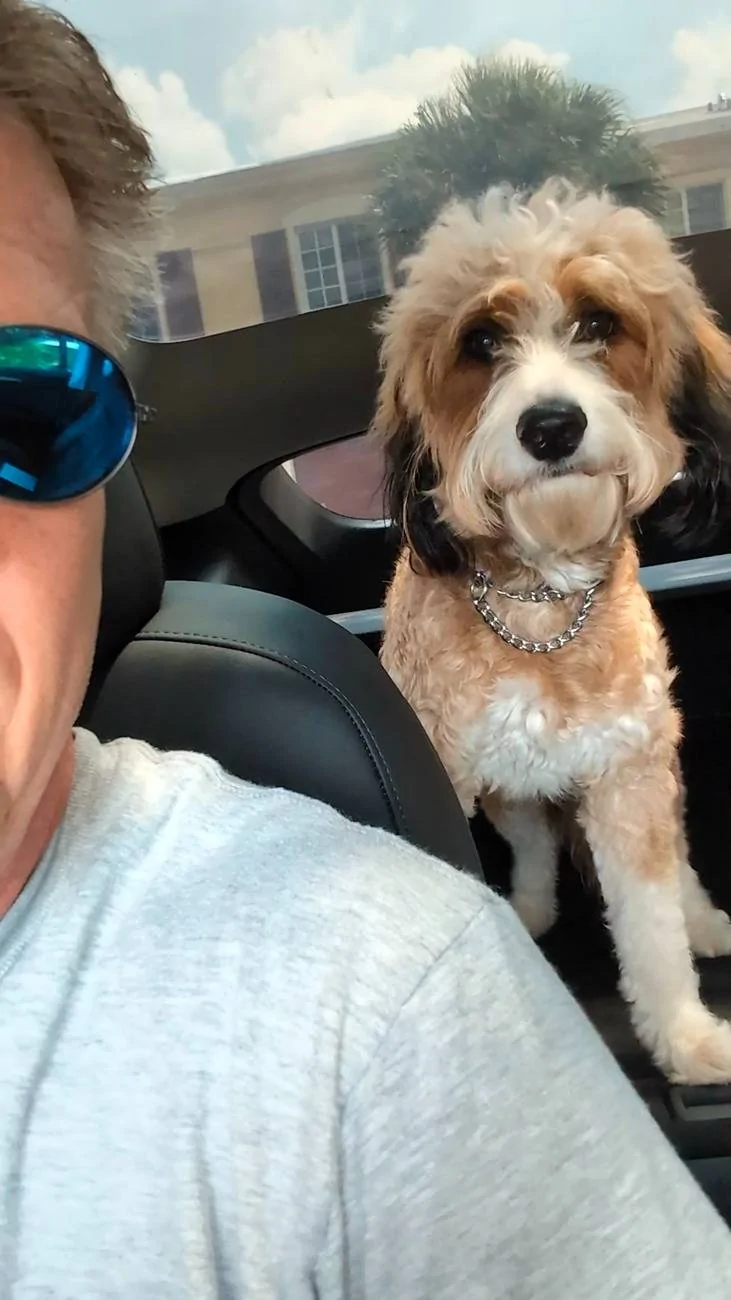 Tesla Cybertruck DOG MODE??? PXL_20240517_155952096.MP_exported_996