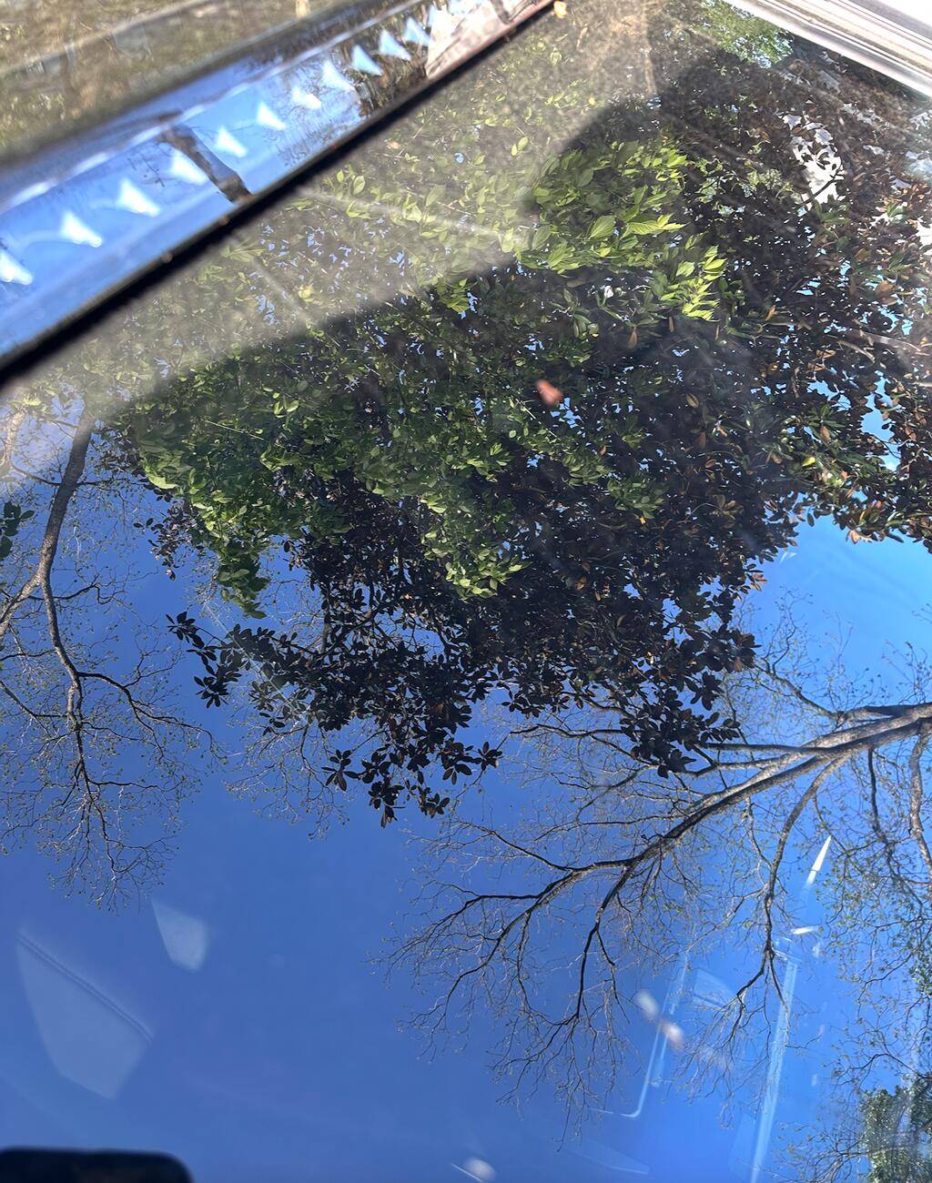 Tesla Cybertruck Lightbar with Cracked Windshield Screenshot 2025-04-09 at 12.35.33 AM