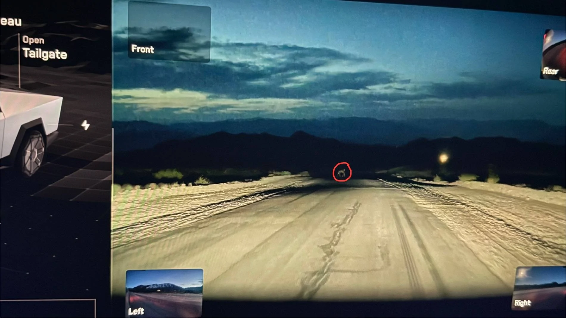 Tesla Cybertruck 🦌FSD saved me from having a pretty bad night!🦌 IMG_4548