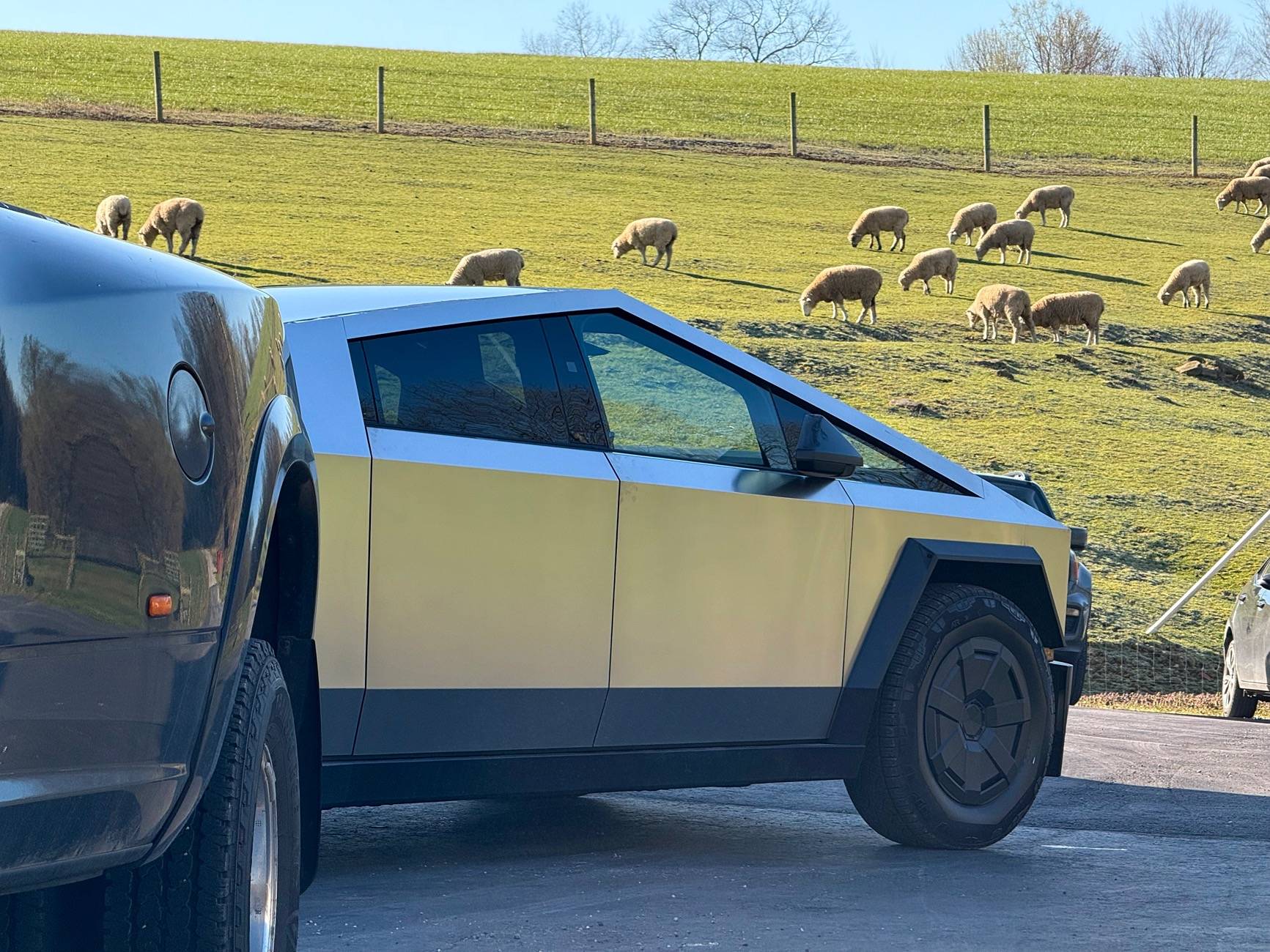 Tesla Cybertruck 🚨 BestEvMod April Giveaway Alert! 🚨 IMG_2658