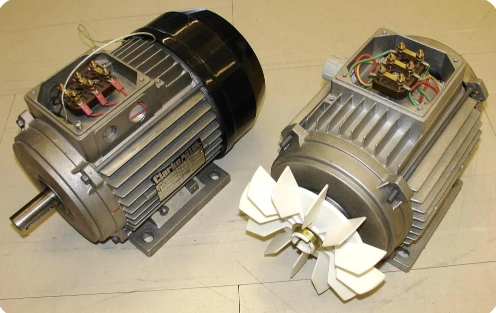 Tesla Cybertruck People A7602407-4A81-4C47-A25E-CB511DA33ECC