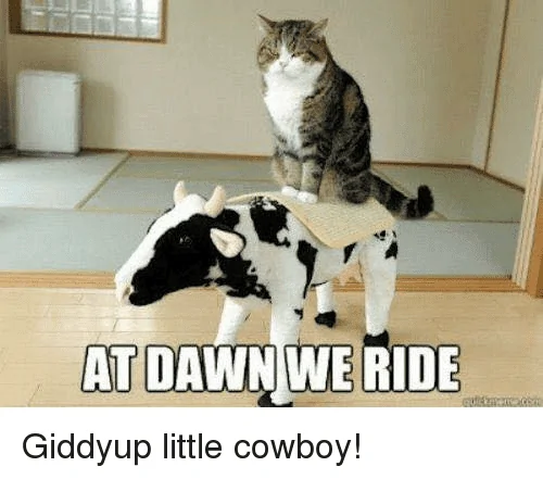 Tesla Cybertruck Cybertruck, the Paradigm Shifter att-dawn-we-ride-giddyup-little-cowboy-5225456