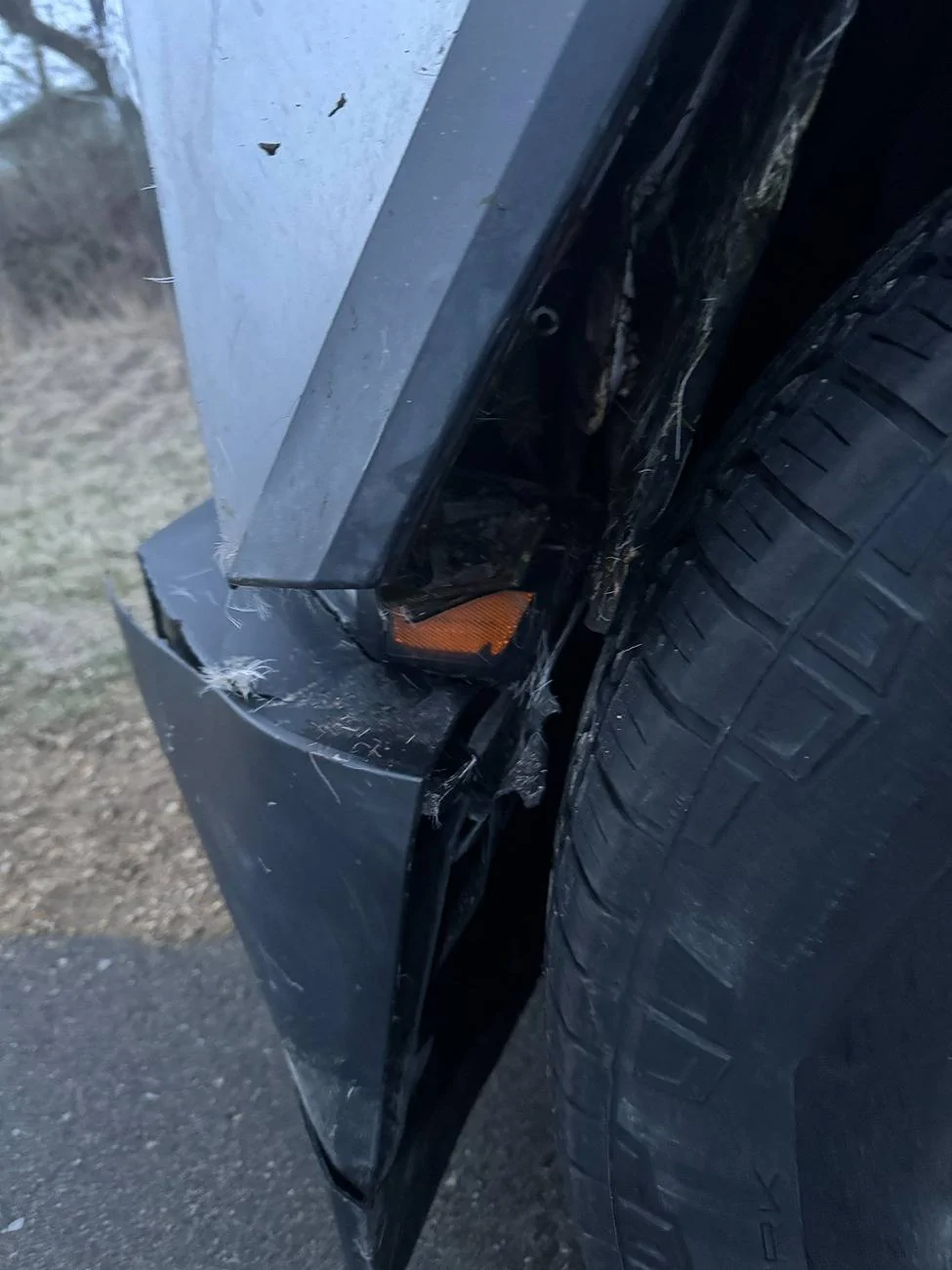 Tesla Cybertruck Cybertruck - 1  Deer - 0; Deer strike at 60 MPH (Video Added & Graphic Image) IMG_9122