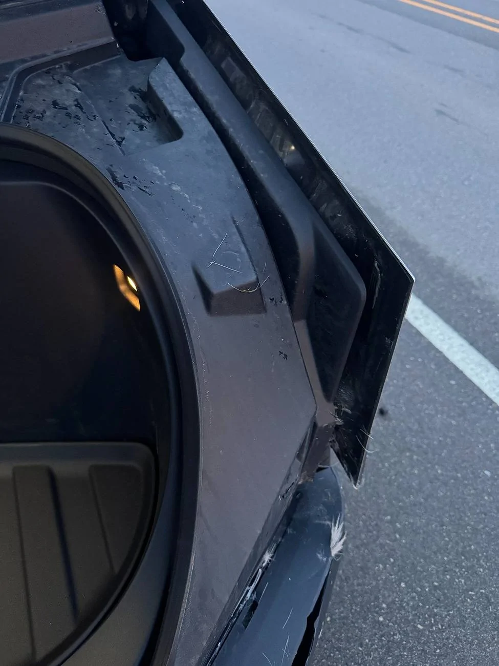 Tesla Cybertruck Cybertruck - 1  Deer - 0; Deer strike at 60 MPH (Video Added & Graphic Image) IMG_9123