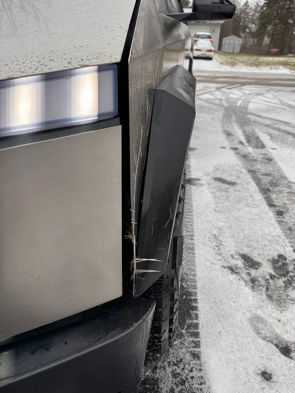 Tesla Cybertruck Cybertruck - 1  Deer - 0; Deer strike at 60 MPH (Video Added & Graphic Image) deer v ct