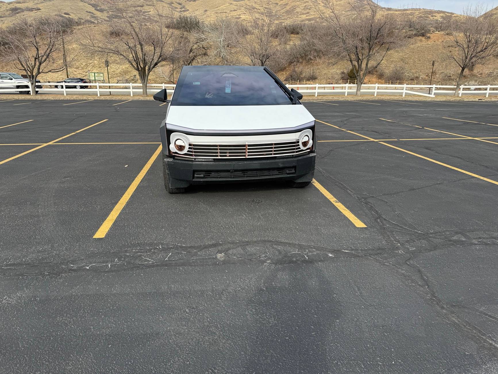 Tesla Cybertruck CT is a great blank canvas. IMG_0638