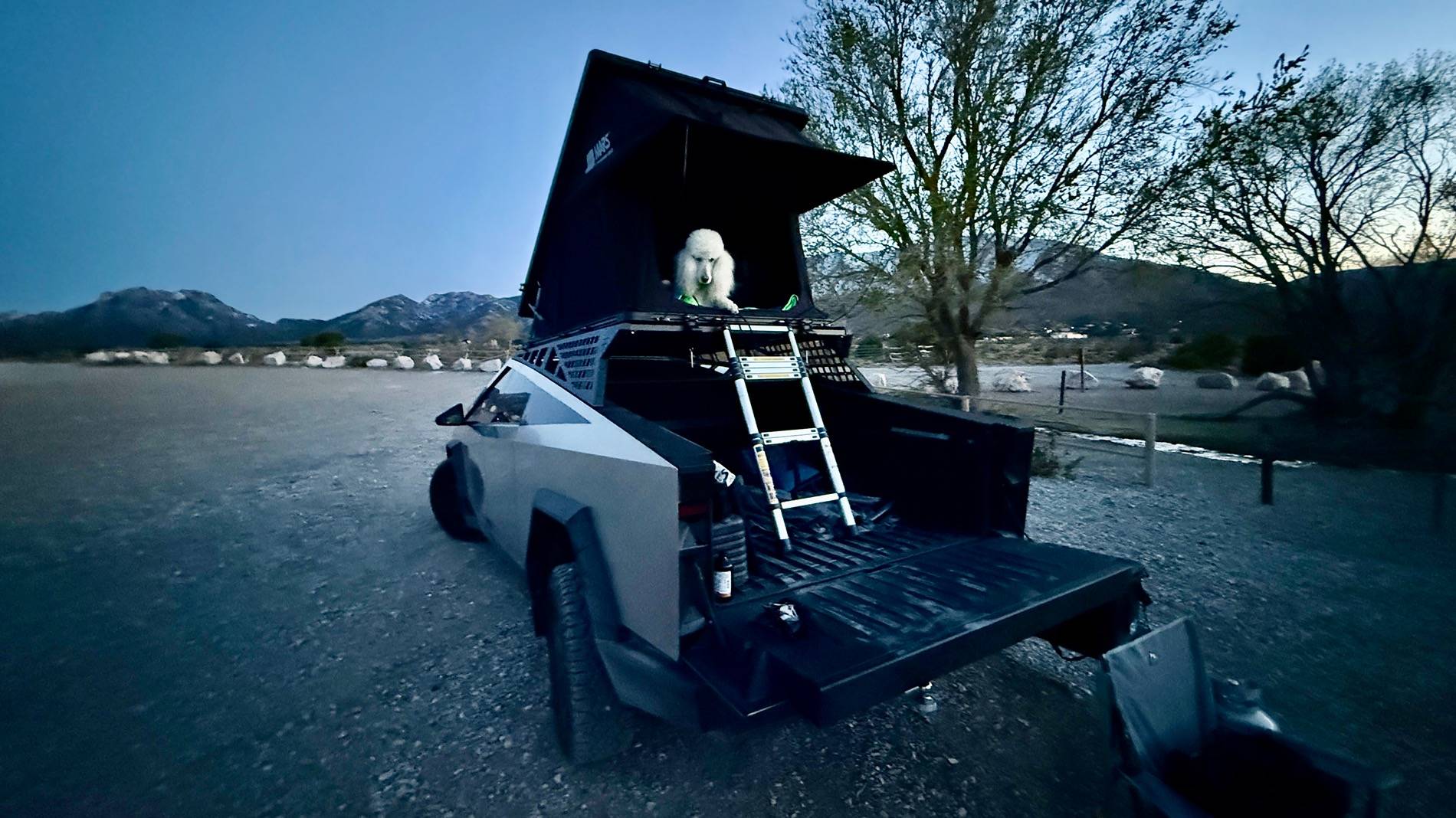 Tesla Cybertruck POLL: Do you own the OEM Cybertrucktent??? Do you want one? IMG_4541