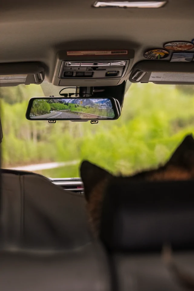 Tesla Cybertruck Are You a Cat Person or a Dog Person? Copilot2