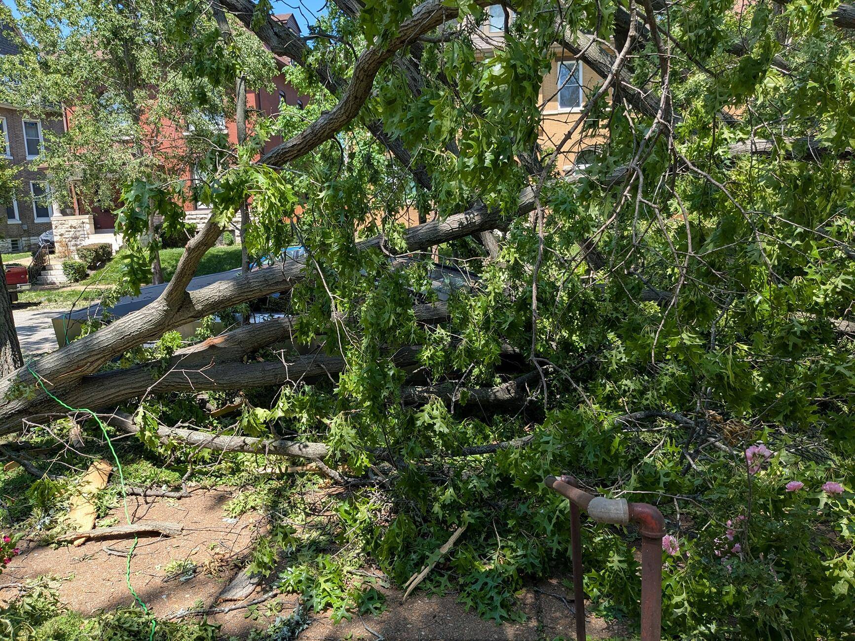 Tesla Cybertruck Cybertruck After St. Louis Tornado 1747726740743-he