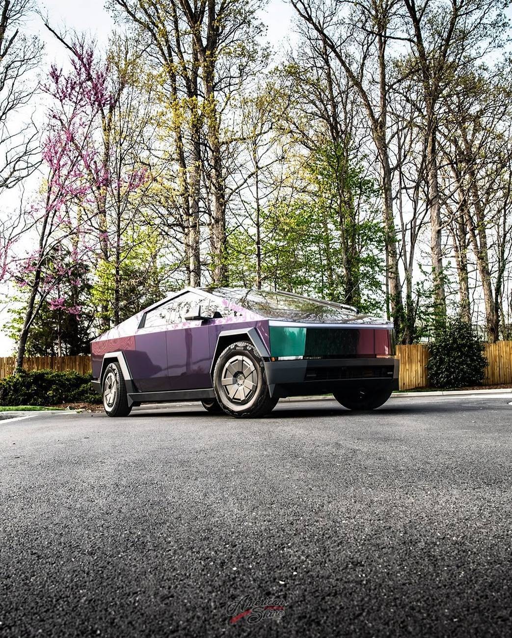 Tesla Cybertruck Pure PPF Unicorns Blood Cybertruck wrapped by American Shine Detailing 1748225238926-i