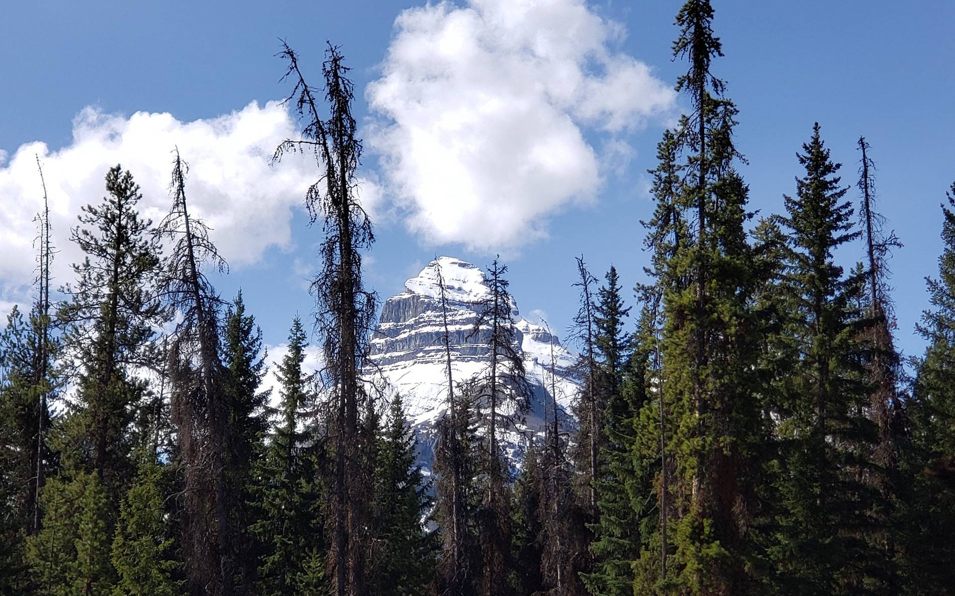 Banff 1.jpeg