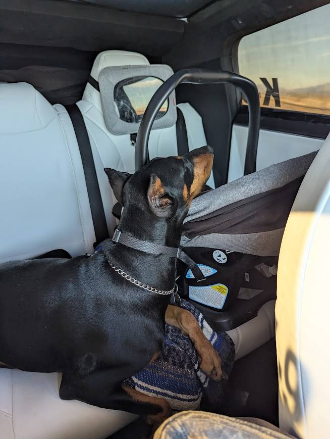 Tesla Cybertruck The Ultimate Sentry Mode Update!! PXL_20250412_143346006