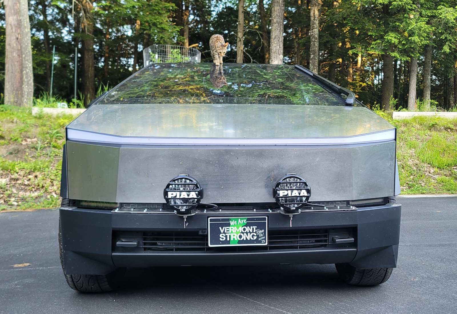 Tesla Cybertruck The best light for snow, fog and rain for just a few hundred dollars. Light 1