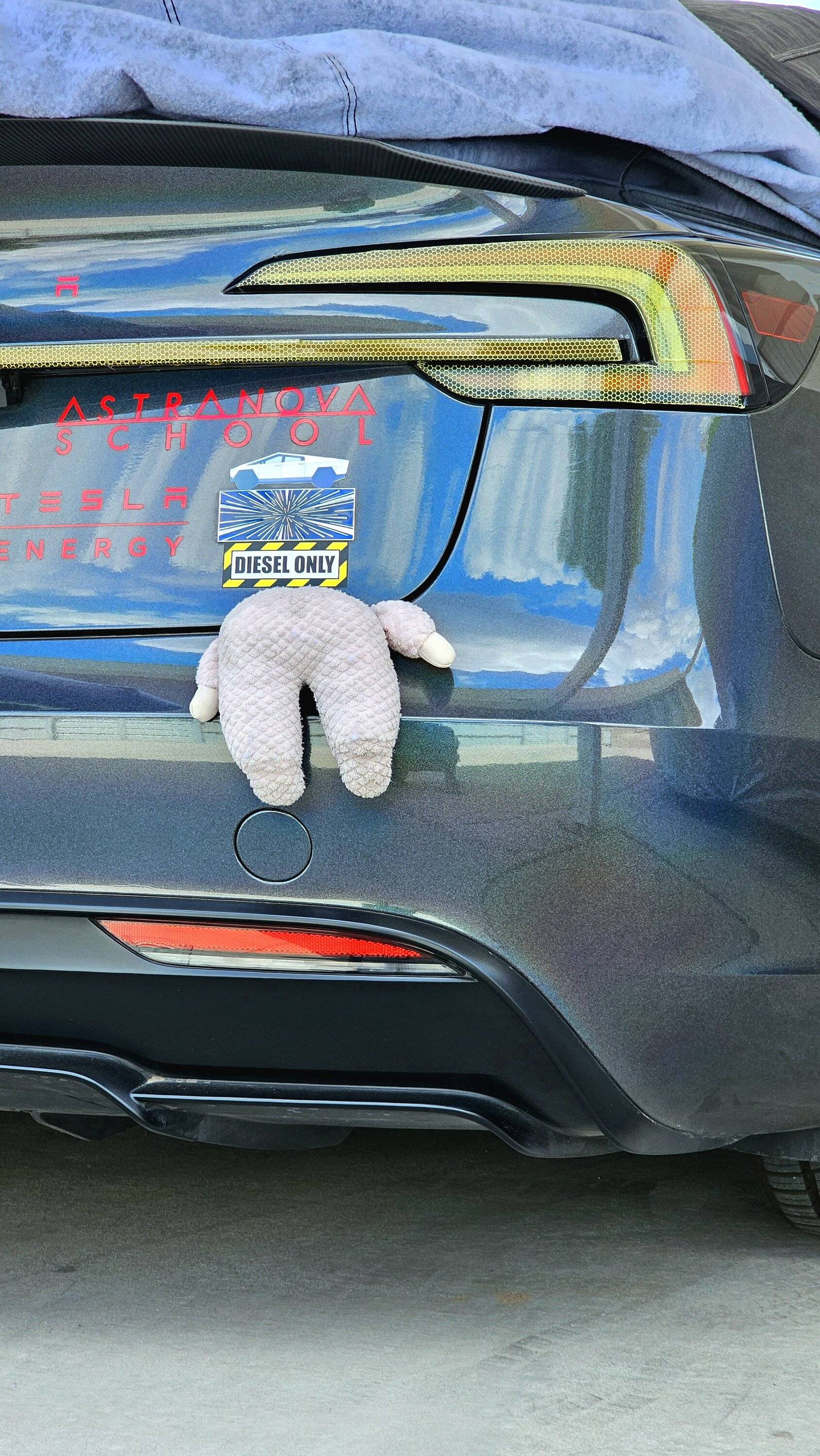 Tesla Cybertruck Daily random Cybertruck photos thread - Post Yours! 📸 🤳 20250626_150737