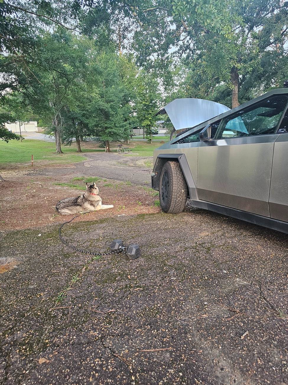 Tesla Cybertruck Can we still call off grid camping in the Cybertruck Boondocking? 20250628_061250
