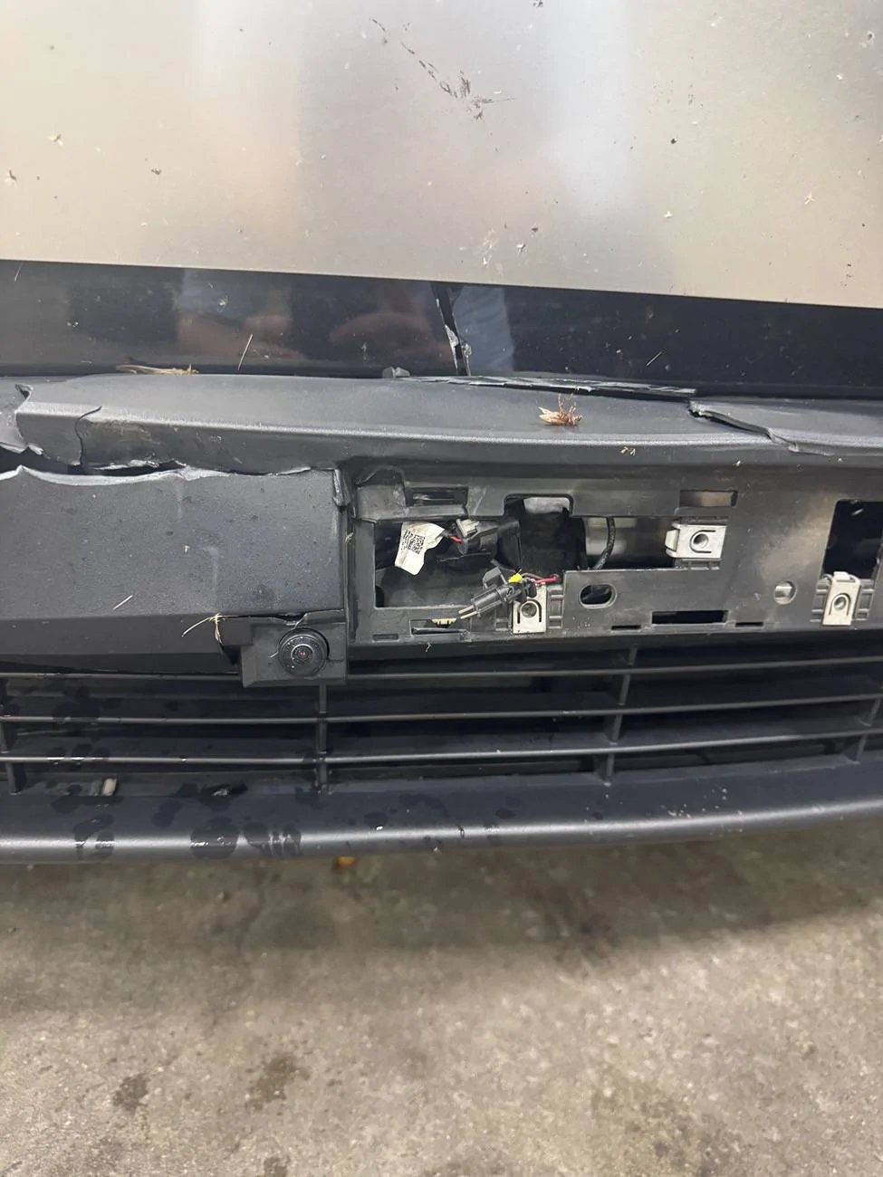 Tesla Cybertruck Deer collision IMG_0757