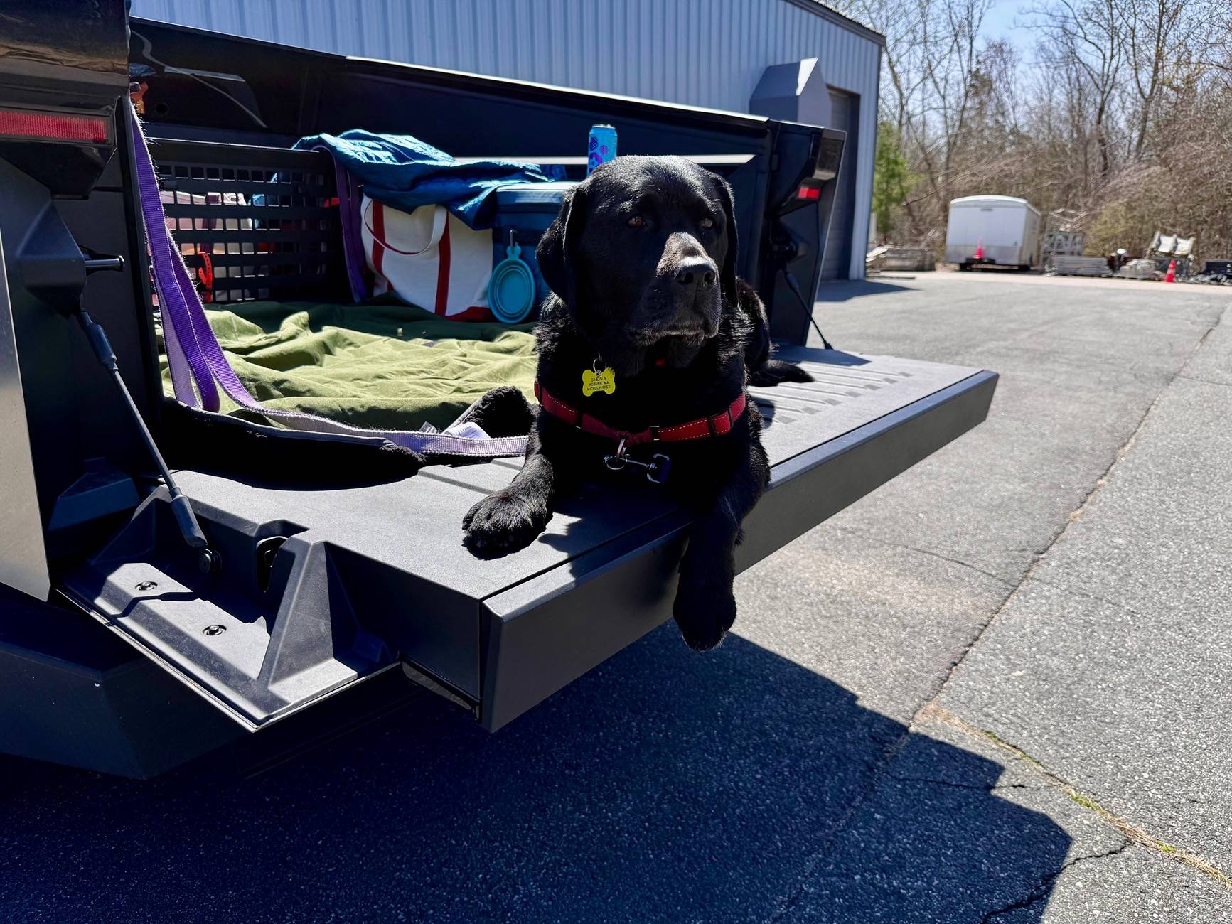 Tesla Cybertruck Daily random Cybertruck photos thread - Post Yours! 📸 🤳 IMG_5178