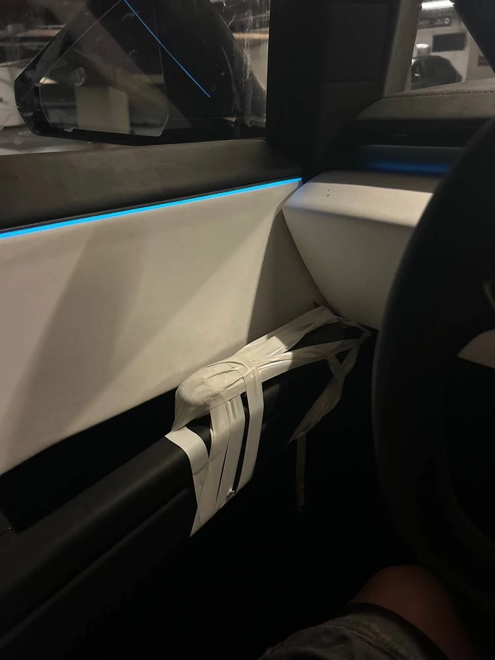 Tesla Cybertruck My dog escapes with dog mode enabled IMG_3109