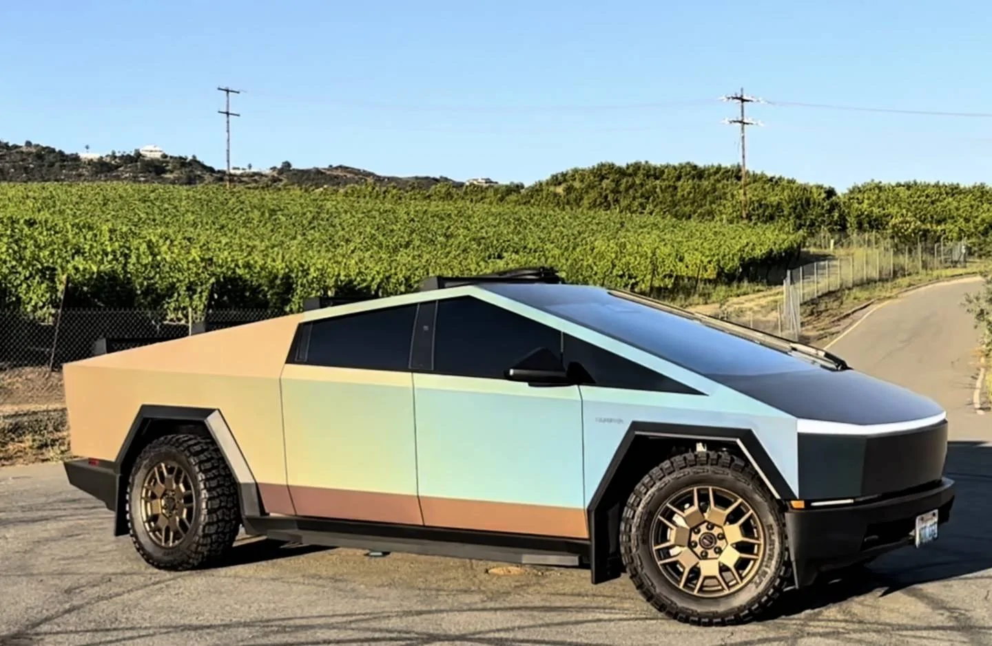 Tesla Cybertruck Share your best Cybertruck Independence Day photo! IMG_6681