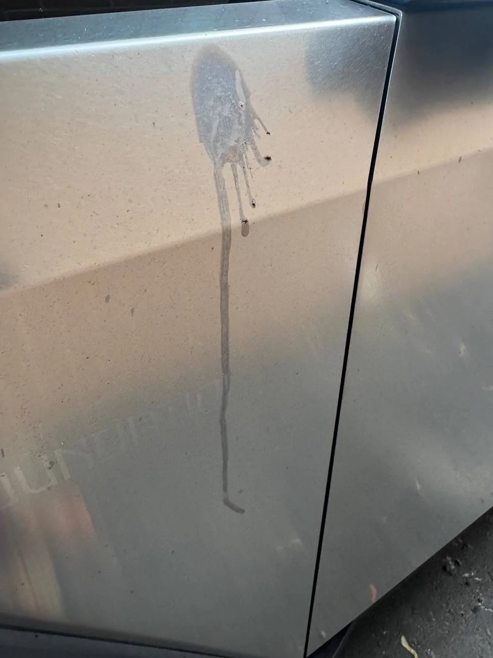 Tesla Cybertruck Bird poop etched my truck IMG_3309