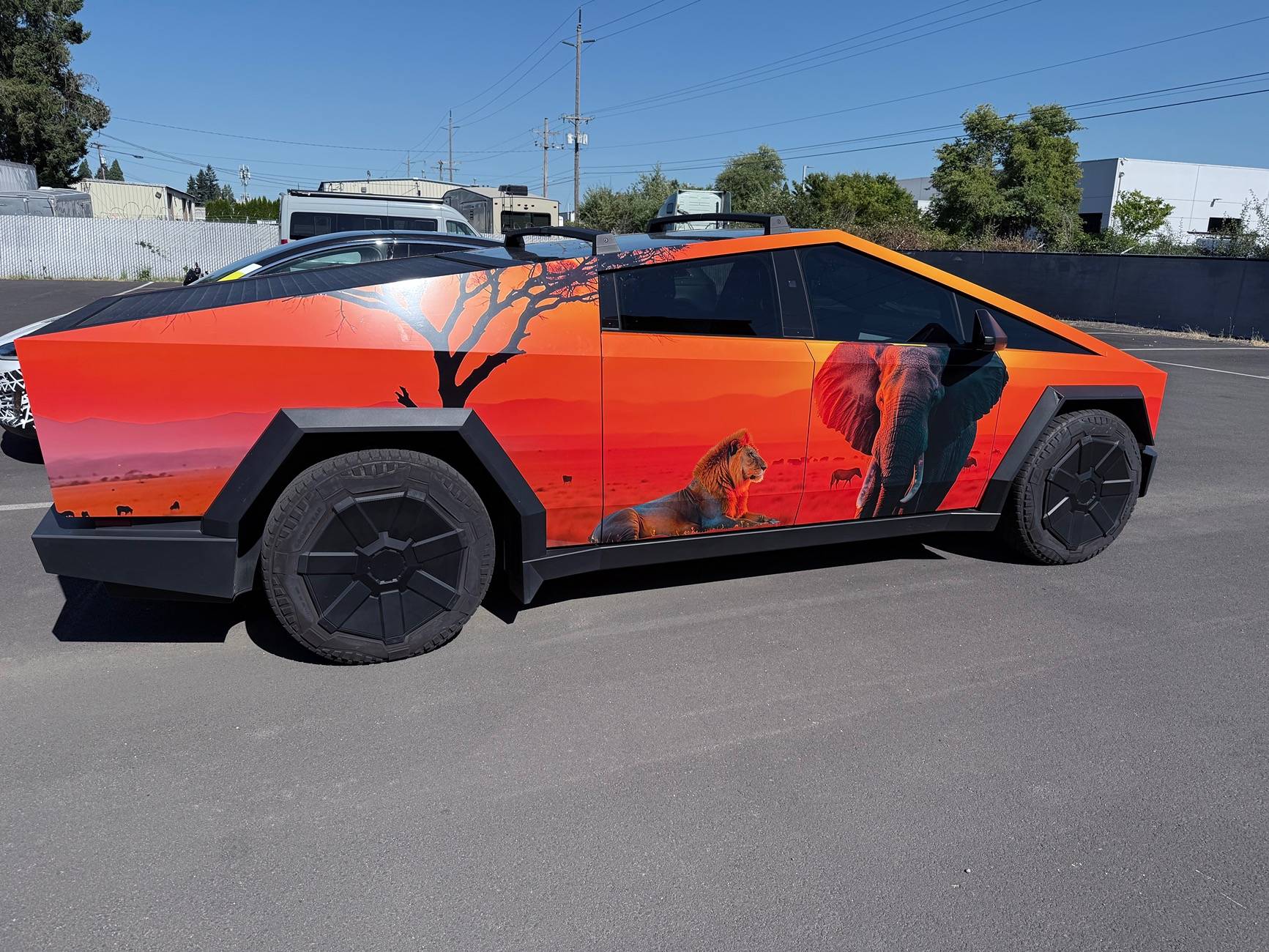 Tesla Cybertruck African sunset Cybertruck IMG_3819