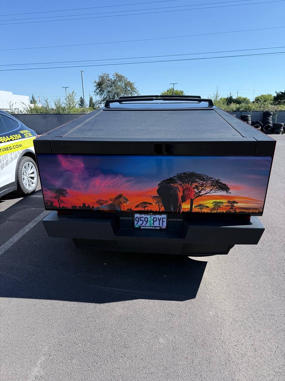 Tesla Cybertruck African sunset Cybertruck IMG_3818