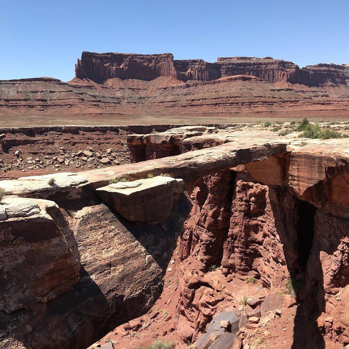 Tesla Cybertruck Cybertruck on White Rim Road (Moab, UT)  Experiences? 1752870516251-53